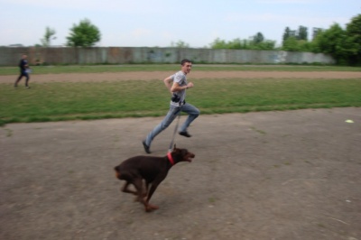У Чернівцях на змаганнях господарі бігтимуть із собаками
