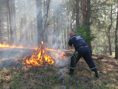 З початком сезону пікніків на Буковині трапляються лісові пожежі