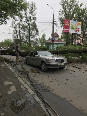 У Чернівцях громіздке дерево впало на автомобіль, з якого перед цим вийшли мама з дитиною (ФОТО)