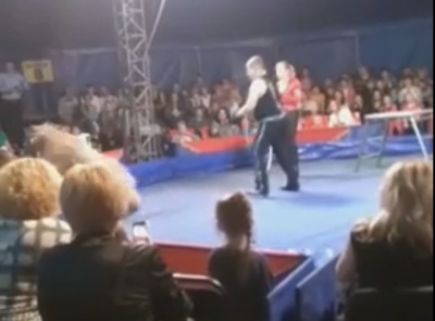 У Білій Церкві під час циркової вистави ведмідь напав на глядачів (відео)