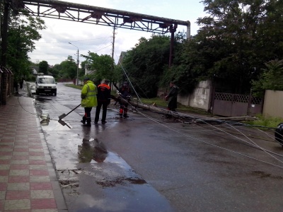 У Чернівцях п’яний водій повалив три електроопори (ФОТО)