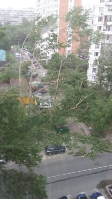 ЗМІ: Ураган у Москві забрав життя 11 осіб