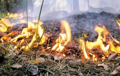 На вихідних на території України — висока пожежна небезпека