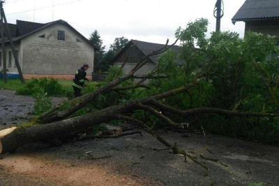 Наслідки негоди: рятувальники на Буковині прибирали повалені дерева і викачували воду з будинків