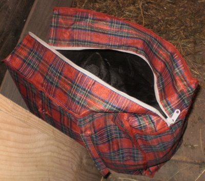 На Буковині спіймали на гарячому крадія у чужому кролятнику (ФОТО)