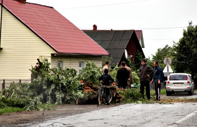 Буревій на Буковині валив дерева і зривав дахи (ФОТО)