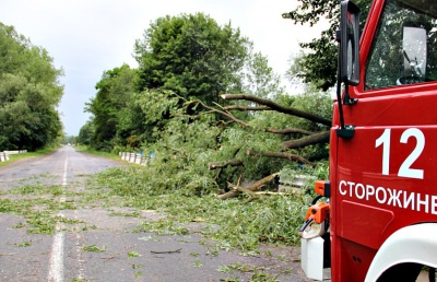 Буревій на Буковині і хабар на пункті пропуску. Головні новини суботи