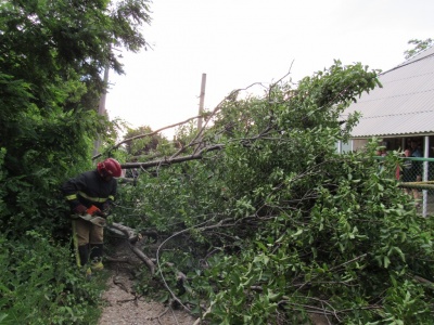 Зірвані дахи будинків і повалені дерева: рятувальники показали наслідки негоди на Буковині (ФОТО)