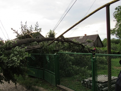 Зірвані дахи будинків і повалені дерева: рятувальники показали наслідки негоди на Буковині (ФОТО)