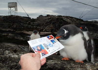 Чернівчанин відкрив виставку своїх фото з Антарктиди