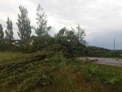 Стихія на Буковині побила понад 30 дахів, повалено більше сотні дерев