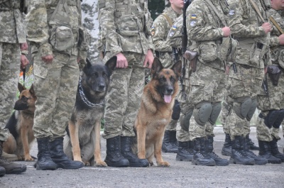 На Буковині через конфлікт селян з прикордонниками роботу ДПСУ підсилить спецназ