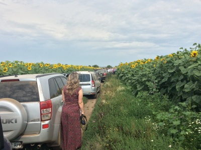 Сподівання на врожай гарні, лишень погода б не зіпсувала його - на Буковині аграрії обговорювали жнива