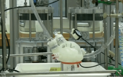 У Швейцарії створили прототип серця на 3D-принтері