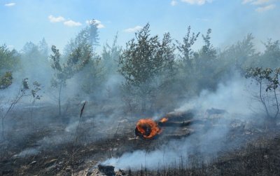 Пожежа на полігоні в Дніпропетровській області: рятувальники ліквідовують останній осередок горіння