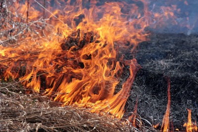 У Чернівецькій області під час спалювання трави загинув пенсіонер