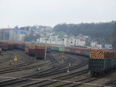 Експорт хвойних порід деревини через Чернівецьку митницю збільшився