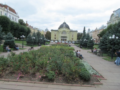 У Тресті зеленого господарства Чернівців поскаржились на собак, які витоптують клумби