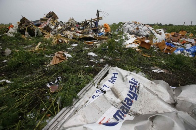 Посол США: Деяки докази щодо збитого рейсу MH17 спецслужби не оприлюднюють