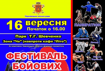 20 клубів єдиноборств у Чернівцях проведуть Фестиваль бойових мистецтв