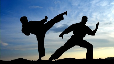 У Чернівцях відбудеться фестиваль бойових мистецтв