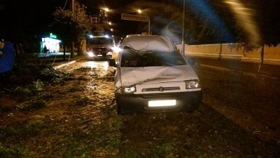 Раптова буря у Чернівцях повалила дерева і побила автівки (ФОТО)