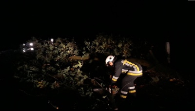 Пошкоджене деревом авто і аварійний дах - у Чернівцях долали наслідки негоди