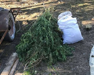 На Буковині поліція затримала чоловіка, який зберігав удома наркотиків на 150 тис грн