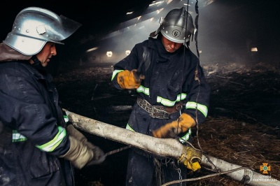 На Тернопільщині під час пожежі загинули десятки тисяч курчат