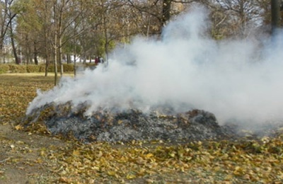 Буковинцям нагадують: спалювати листя шкідливо і за це передбачено  штраф