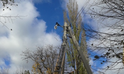 Наслідки буревію в Чернівцях: зламані дерева та обірвані лінії електропередач (ФОТО)