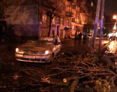 Дерево у Чернівцях впало на авто з людьми – водія затиснуло всередині