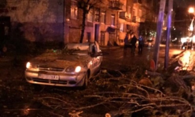 Дерево у Чернівцях впало на авто з людьми – водія затиснуло всередині