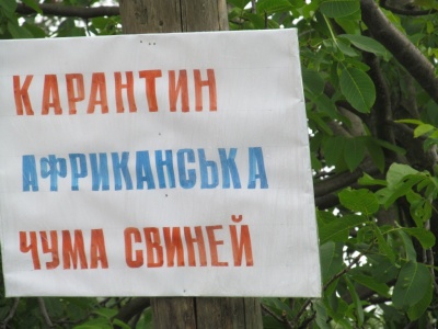 На фермі на Буковині, де виявили АЧС, заб’ють і спалять 160 свиней