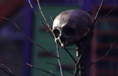У Сторожинці у парку жителі виявили людський череп: поліція проводить слідчі дії (ФОТО)