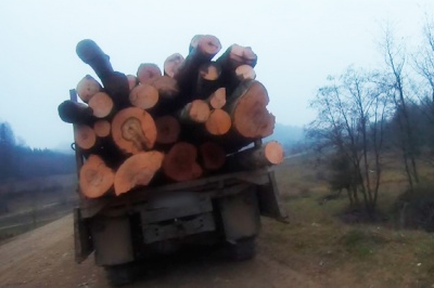 На Буковині поліція затримала водія вантажівки, що вивозив ліс за підробленими документами