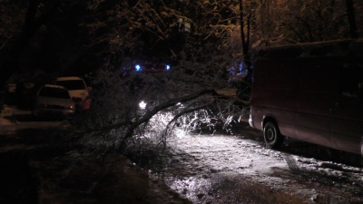 Негода у Чернівцях повалила дерева на дороги (ФОТО)