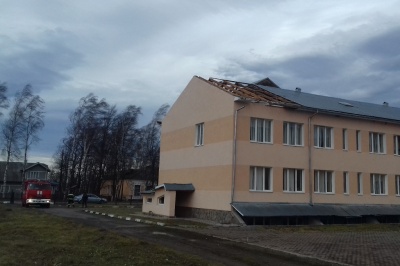 Негода на Буковині: дерево впало перед автомобілем, водія травмовано