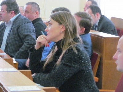 «Не врахували наші пропозиції»: у «Батьківщині» пояснили, чому не підтримали бюджет Буковини-2018