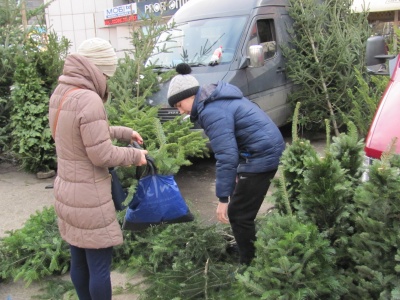 Новорічні ялинки у Чернівцях коштують від 40 гривень (ФОТО)