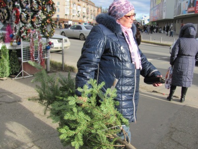 Новорічні ялинки у Чернівцях коштують від 40 гривень (ФОТО)