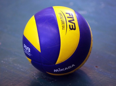Буковинські дівчата-волейболістки зіграли у Вінниці