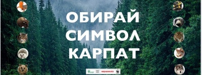 Оголошено старт національного голосування за тварину - символ Карпат