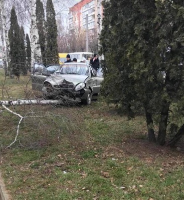 У Чернівцях «Ланос» врізався в березу на обочині вулиці: очевидці показали фото ДТП