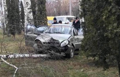 У Чернівцях «Ланос» врізався в березу на обочині вулиці: очевидці показали фото ДТП