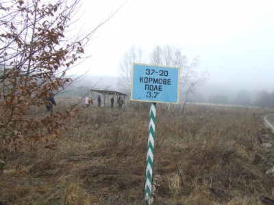 Діти на Буковині нагодували диких тварин (ФОТО)