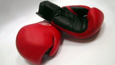 У Швеції можуть заборонити заняття професійним боксом