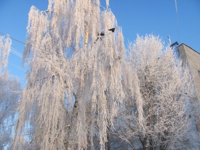 20-градусний мороз і смерть людини на Калинці. Найголовніші новини Буковини за минулу добу