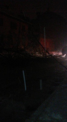 У центрі Чернівців через снігову негоду обвалилось дерево, перекривши вулицю