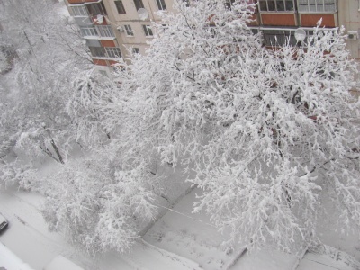 У Чернівецькій області випала рекордна кількість снігу (ФОТО)